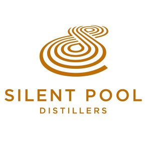 SILENT POOL