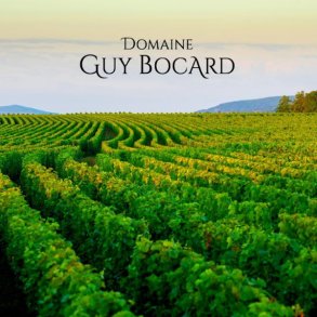 DOMAINE GUY BOCARD