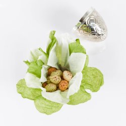 SUMMERBIRD SILVER EGG CLASSIC P�SKE�G