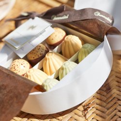 SUMMERBIRD AMBER &amp; PISTACHIO GAVESKE