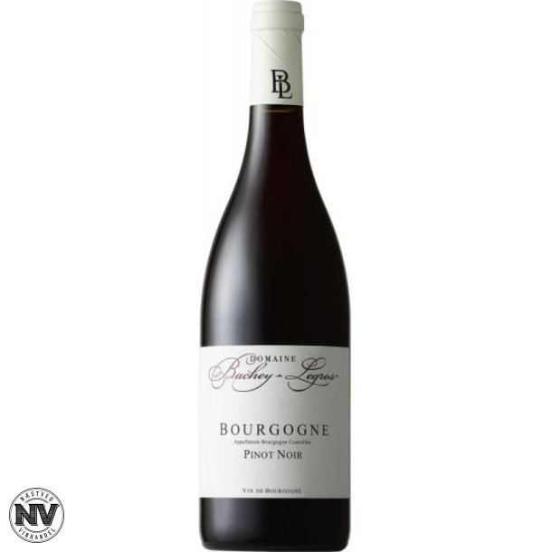 DOMAINE BACHEY-LEGROS, BOURGOGNE PINOT NOIR 2021