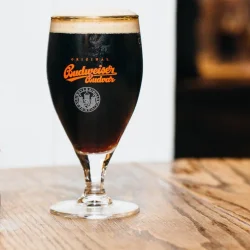 BUDVAR DARK LAGER - FUSTAGE 30 LITER INKL. PANT