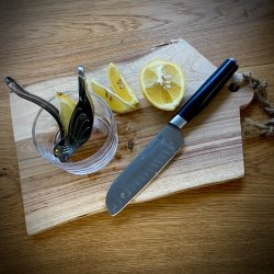 CITRONPRESSER - FUGL