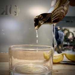 CITRONPRESSER - FUGL