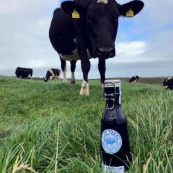 FIVE FARMS IRISH WHISKEY CREME LIKR