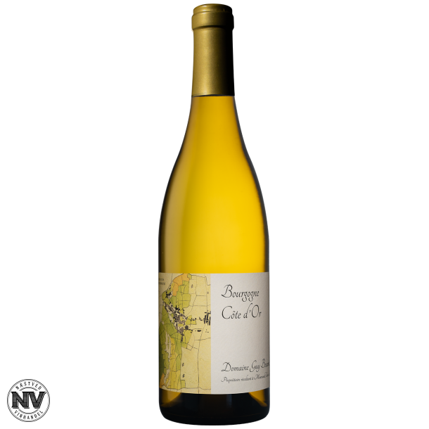 DOMAINE GUY BOCARD, BOURGOGNE CTE D'OR 2023