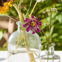 IB LAURSEN ANNA GLASVASE