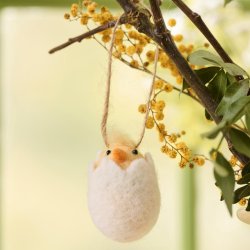 IB LAURSEN P�SKEKYLLING I SKAL