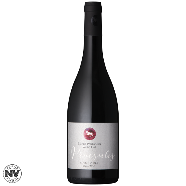 MARKUS PRACKWIESER GUMP HOF PRAESULIS PINOT NOIR 2019