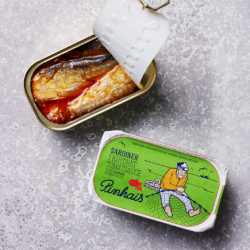 PINHAIS SARDINER I KRYDRET TOMAT