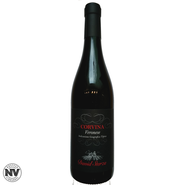 DAVID STERZA CORVINA VERONESE 2021