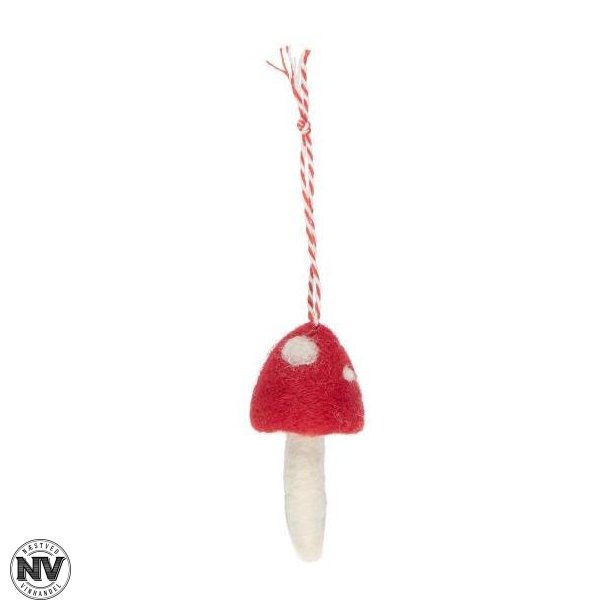 STILLENAT, SVAMP I FILT