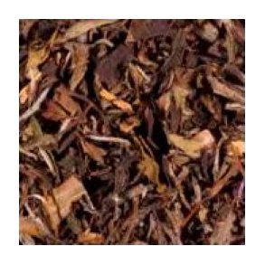 TEMPELTR, GINKGO BILOBA