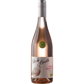 TTE DE LINOTTE ROS D'ANJOU 2024