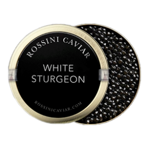 ROSSINI WHITE STURGEON CAVIAR