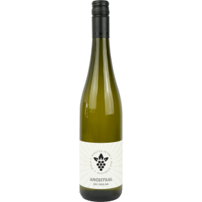 WEINGUT KARSTEN PETER, ANCESTRAL RIESLING 2022