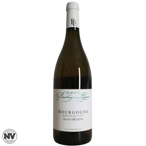 DOMAINE BACHEY-LEGROS, BOURGOGNE BLANC SAINT-MARTIN 2023