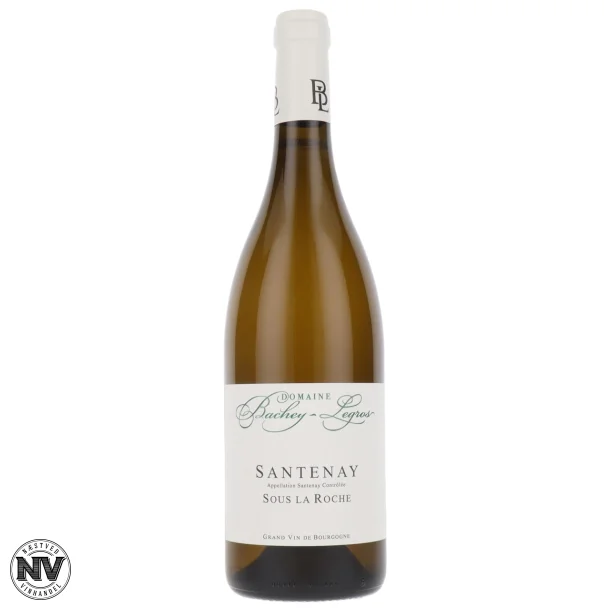 DOMAINE BACHEY-LEGROS, SANTENAY SOUS LA ROCHE MAGNUM 2023 - 1,5L.