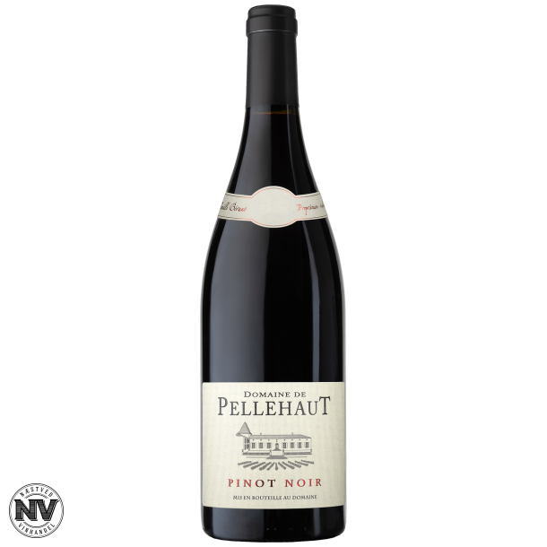 DOMAINE DE PELLEHAUT PINOT NOIR CLIMAT OCANIQUE 2023