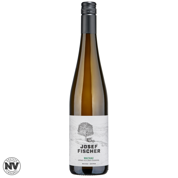 JOSEF FISCHER, GRNER VELTLINER, WACHAU FEDERSPIEL 2022