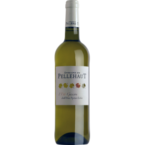 DOMAINE DE PELLEHAUT LT GASCON BLANC 2023