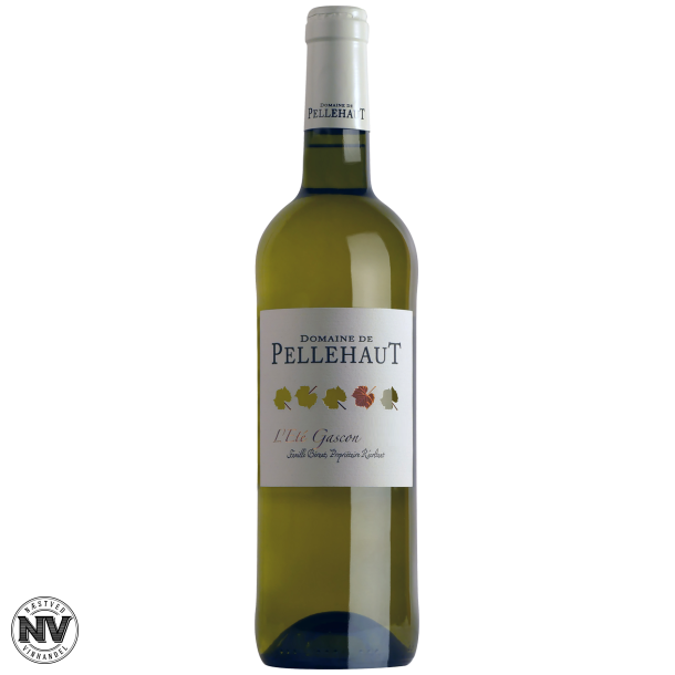 DOMAINE DE PELLEHAUT LT GASCON BLANC 2023