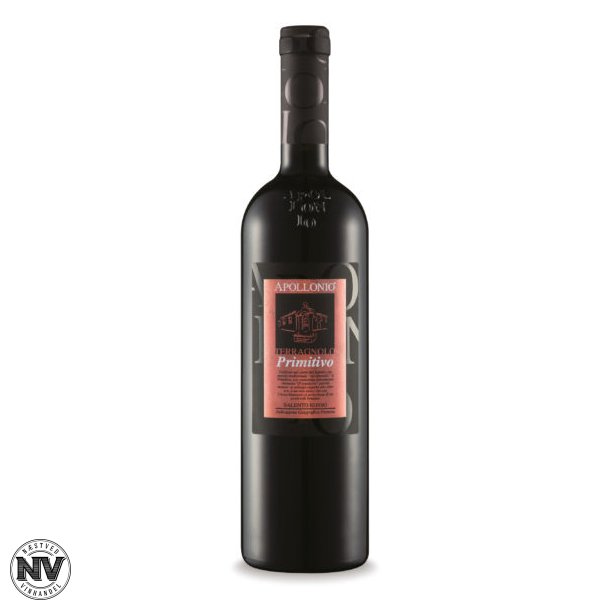 APOLLONIO TERRAGNOLO, PRIMITIVO 2021