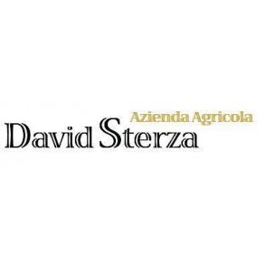 DAVID STERZA